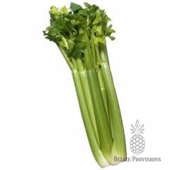 Celery