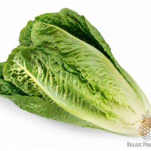 Lettuce- Romaine
